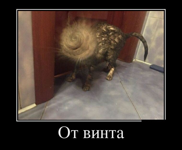 ОТ винта