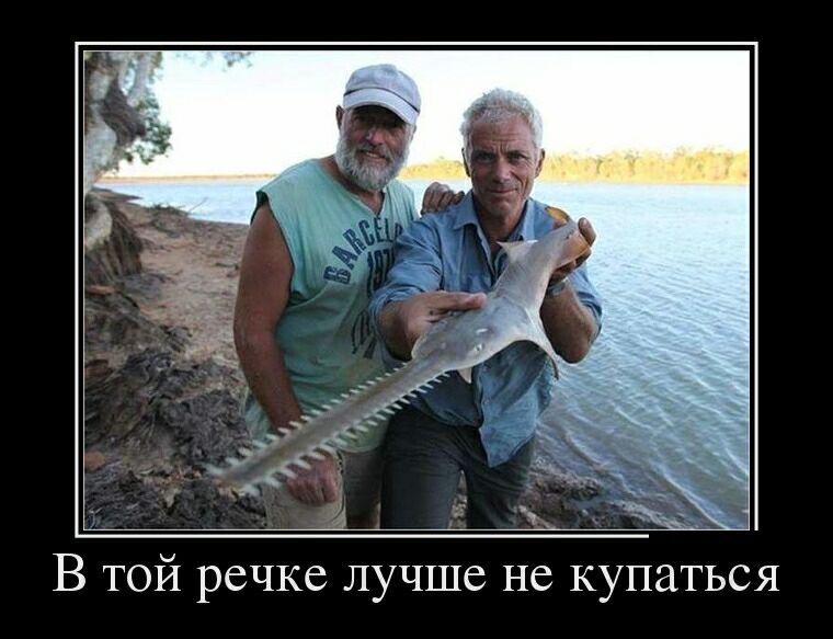 В той речке лучше не купаться