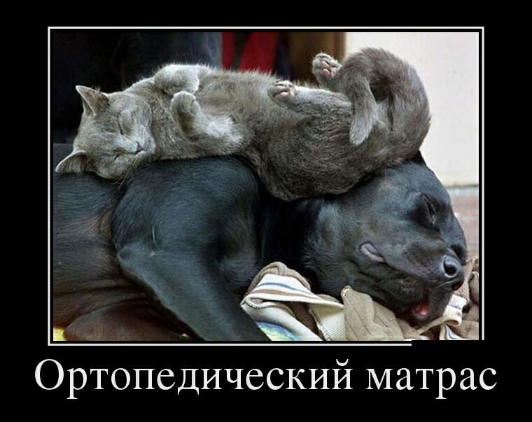 Ортопедический матрас