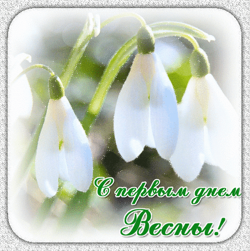 С первым днем Весны!