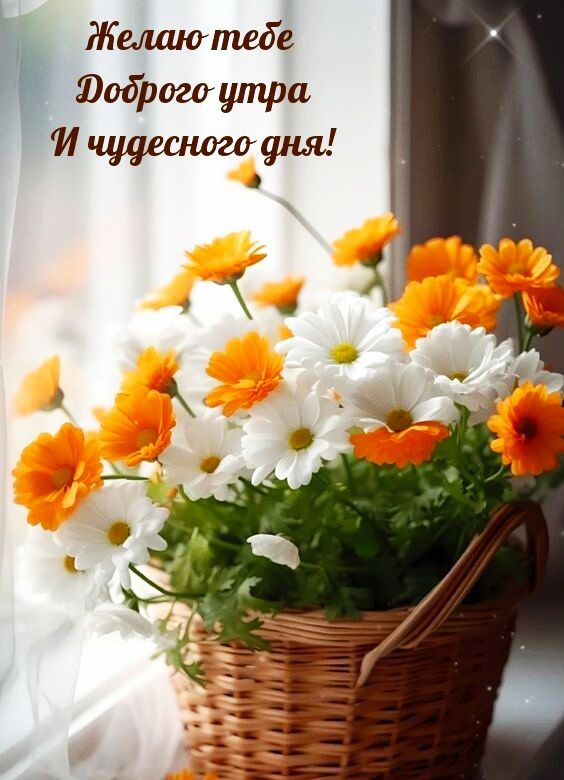 Желаю тебе Доброе утро И чудесного дня!