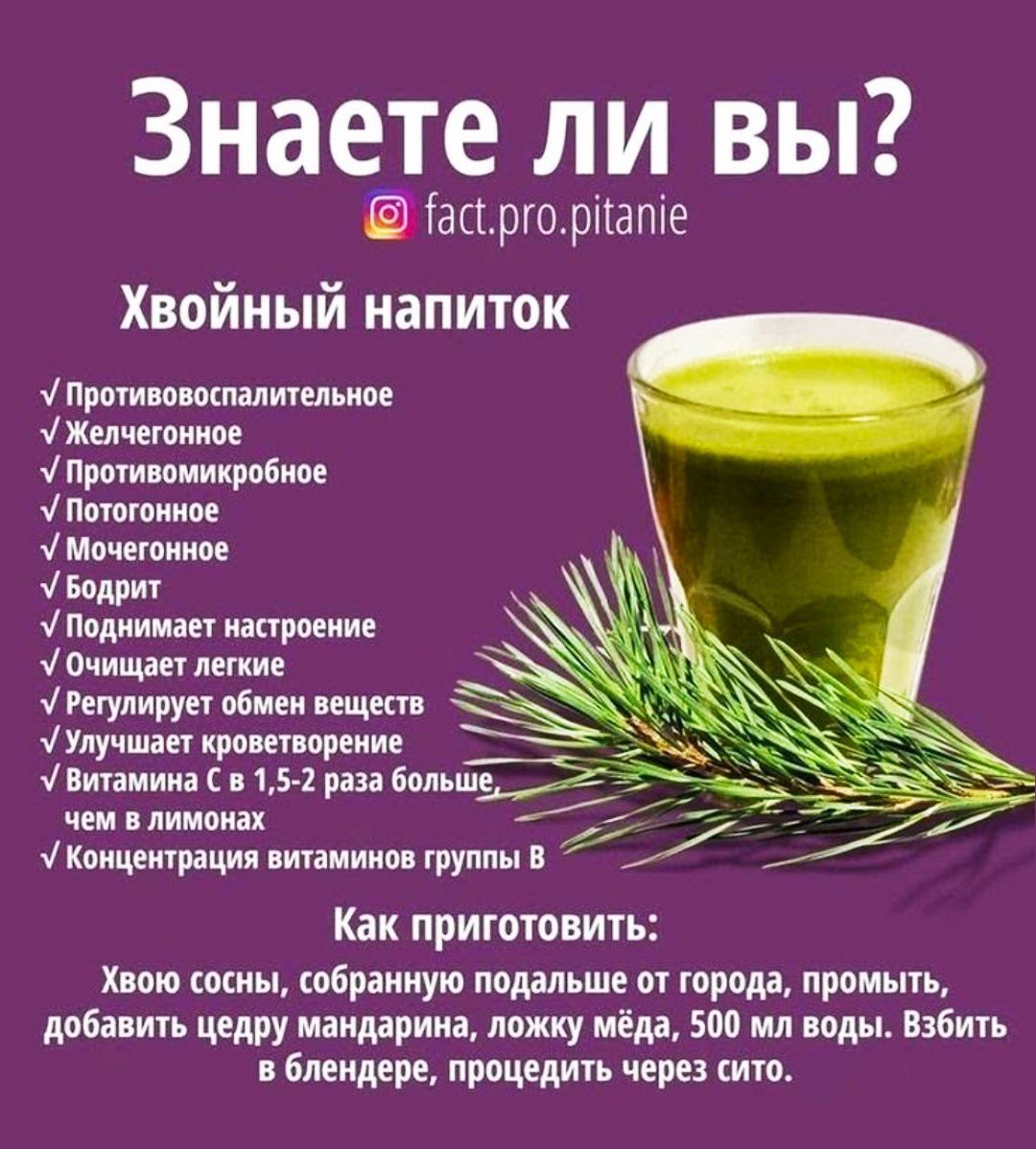 Знаете ли вы?

Хвойный напиток

- Противовоспалительное
- Желчегонное
- Противомикробное
- Потоотделение
- Мочегонное
- Бодрит
- Поднимает настроение
- Очищает легкие
- Регулирует объем веществ
- Улучшает кровообращение
- Витамина C в 1,5-2 раза больше, чем в лимонах
- Концентрация витаминов группы B

Как приготовить:
Хвою сосны, собранную подальше от города, промыть, добавить χедру мандарина, ложку мёда, 500 мл воды. Взбить в блендере, процедить ситом.