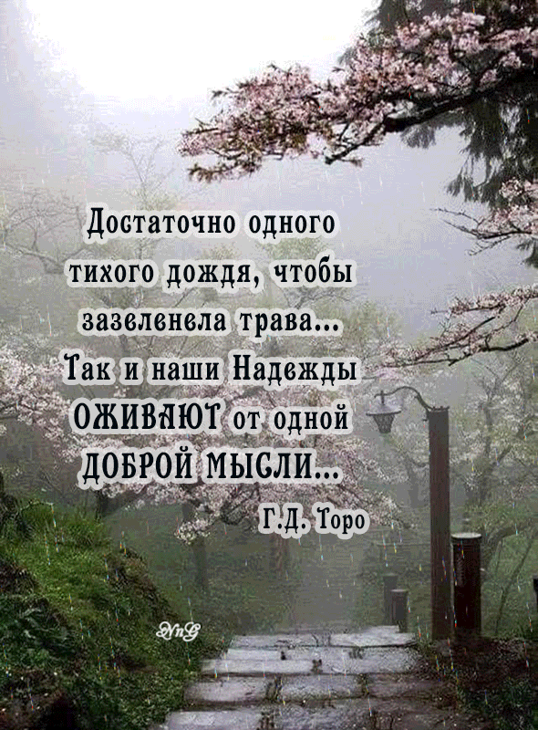 Достаточно одного тихого дождя, чтобы зазеленела трава... Так и наши Надежды ОЖИВАЮТ от одной ДОБРОЙ МЫСЛИ... Г.Д. Торо