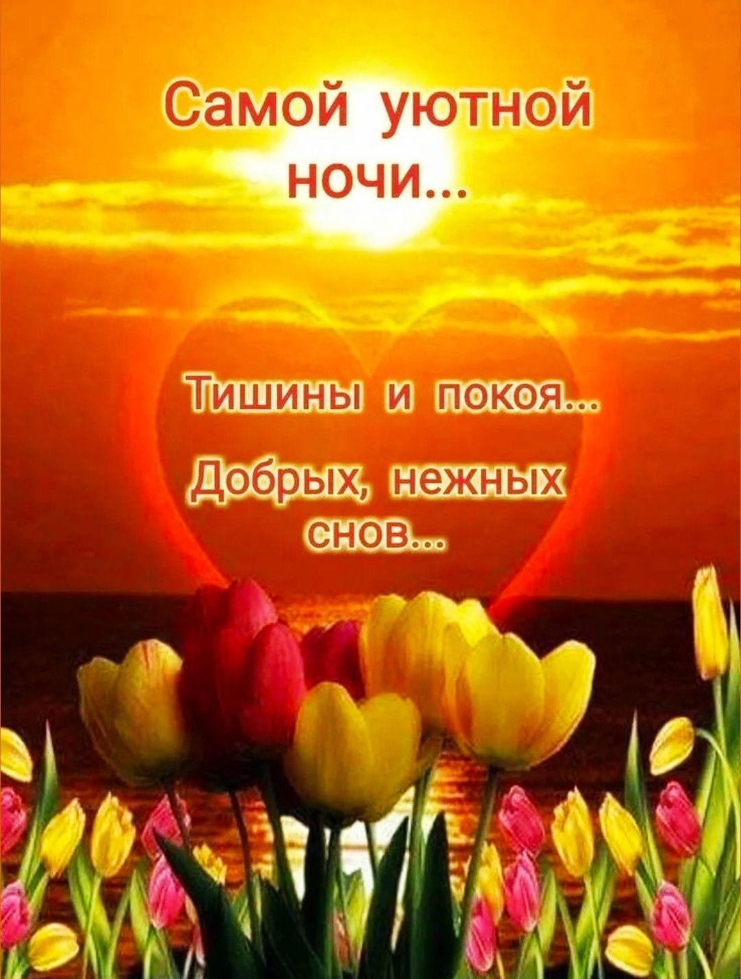 Самой уютной ночи...
Тишины и покоя...
Добрых, нежных снов...