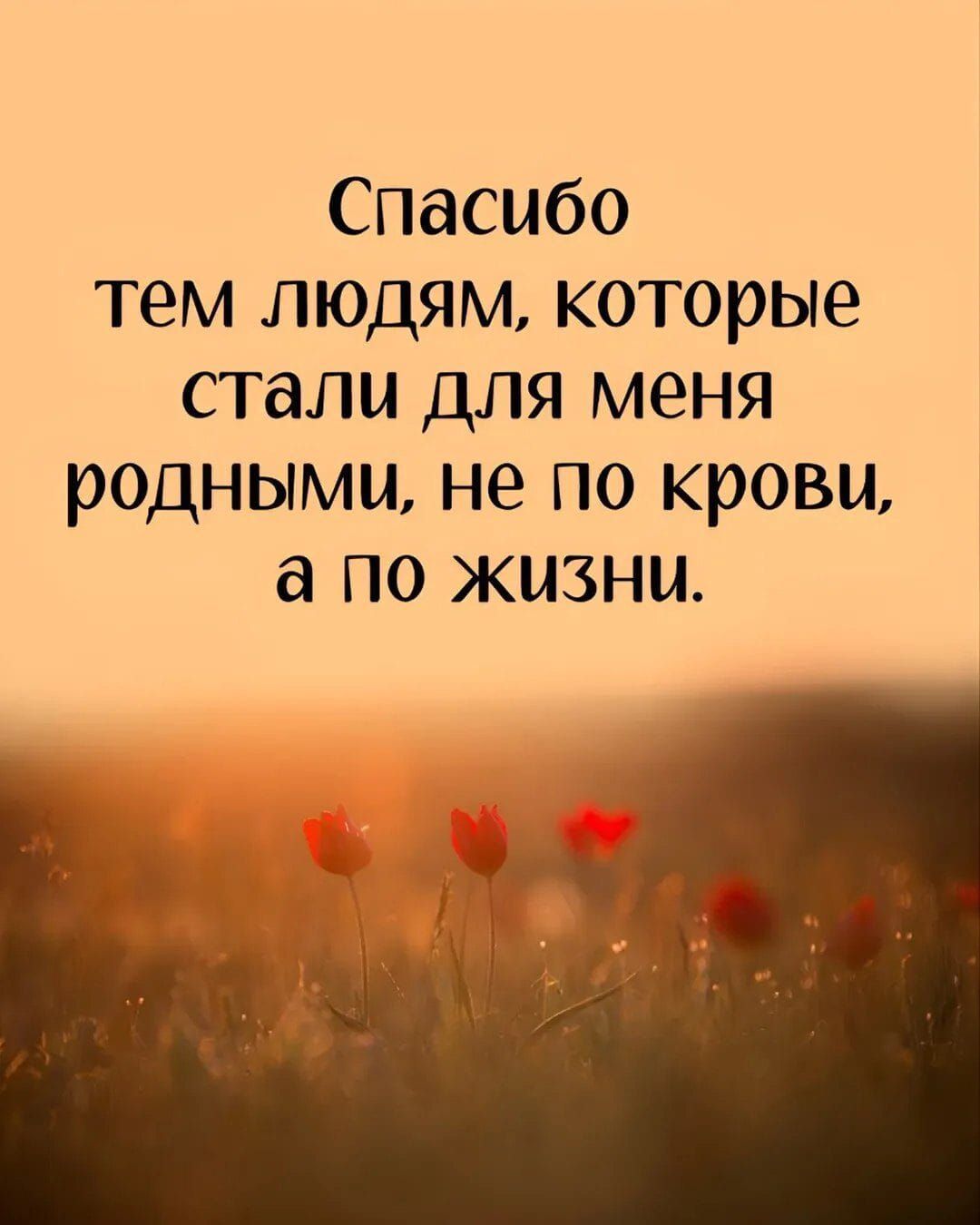 Спасибо тем людям, которые стали для меня родными, не по крови, а по жизни.