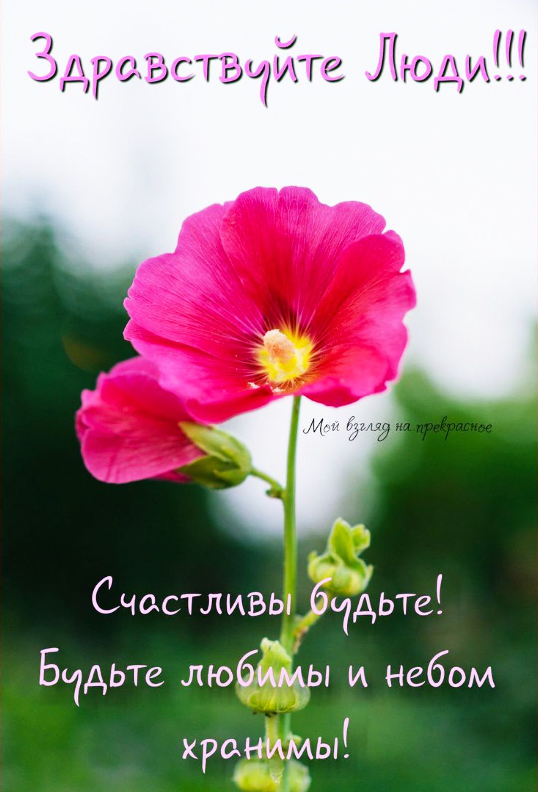Здравствуйте Люди!!!
Счастливы будьте! Будьте любимы и небом хранимы!
Мой взгляд на прекрасное