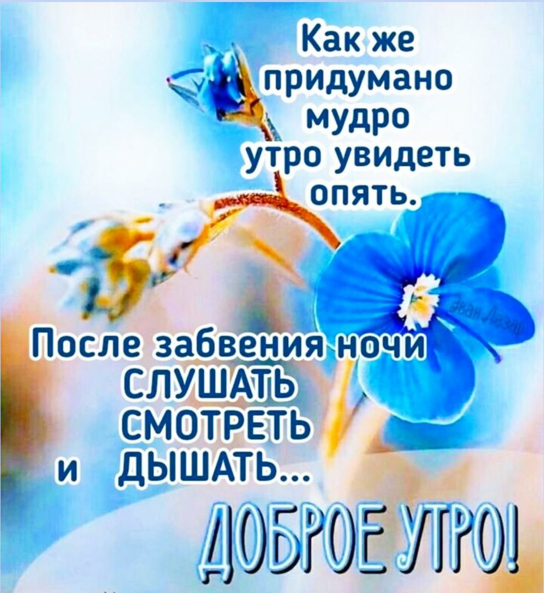 Как же придумано мудро утро увидеть опять.
После забвения ночи СЛУШАТЬ СМОТРЕТЬ и ДЫШАТЬ...
ДОБРОЕ УТРО!