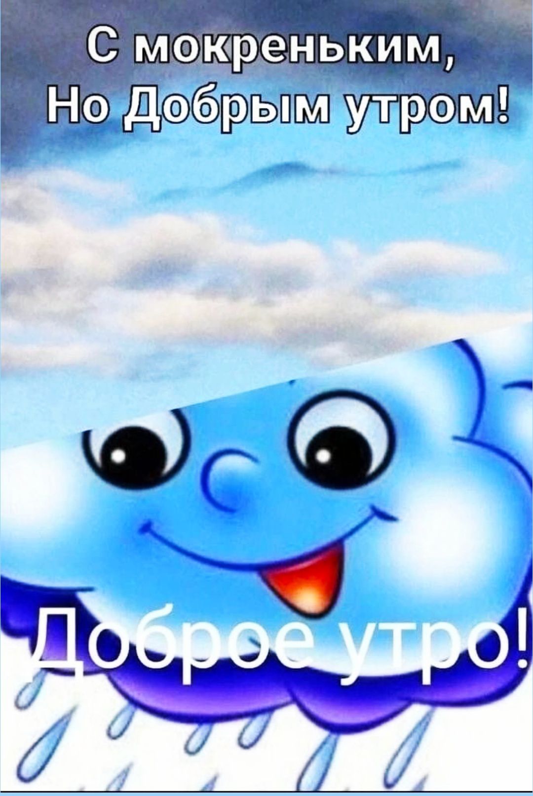 С мокреньким, Но Добрым утром!
Доброе утро!