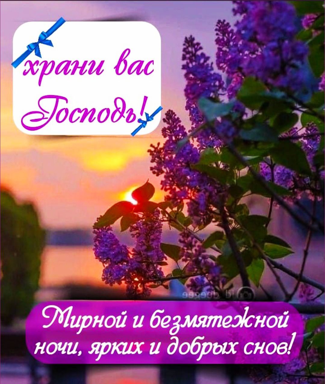 храни вас Господь!
Мирной и безмятежной ночи, ярких и добрых снов!