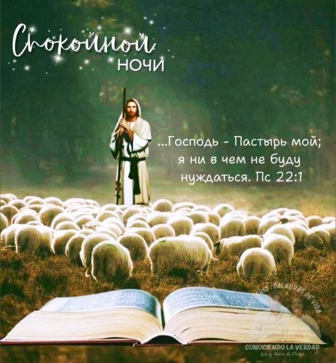 Спокойной ночи
...Господь - Пастырь мой; я ни в чем не буду нуждаться. Пс 22:1