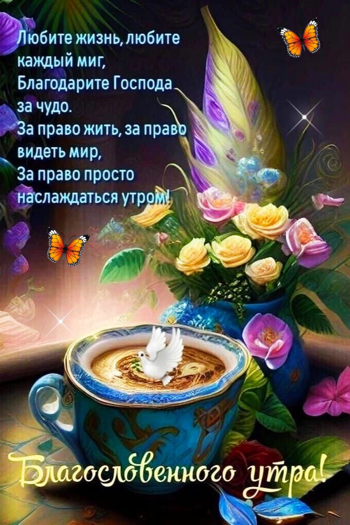 Любите жизнь, любите каждый миг,
Благодарите Господа за чудо.
За право жить, за право видеть мир,
За право просто наслаждаться утром!

Благословенного утра!