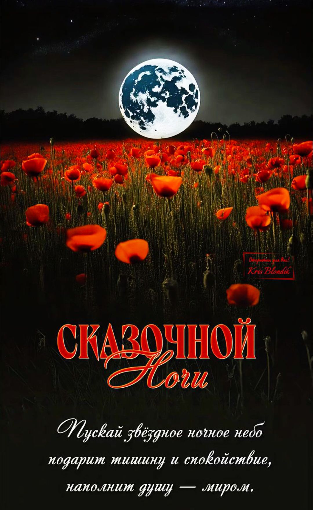 СКАЗОЧНОЙ НОЧИ
Пусть звёздное ночное небо подарит тишину и спокойствие, наполнит душу — миром.