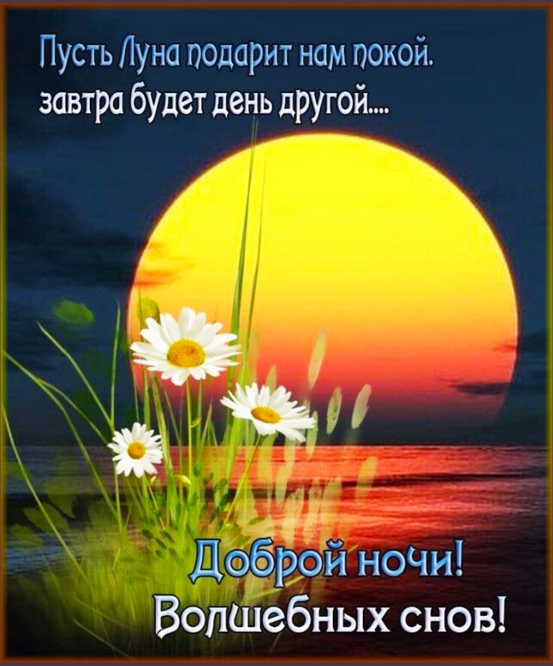 Пусть Луна подарит нам покой. завтра будет день другой.... Доброй ночи! Волшебных снов!