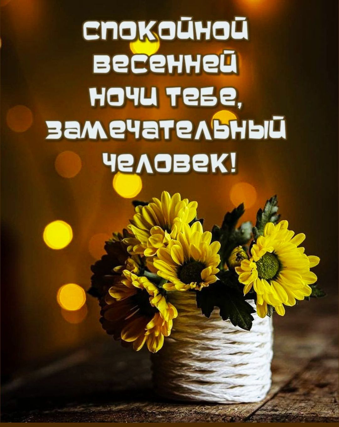 спокойной весенней ночи тебе, замечательный человек!