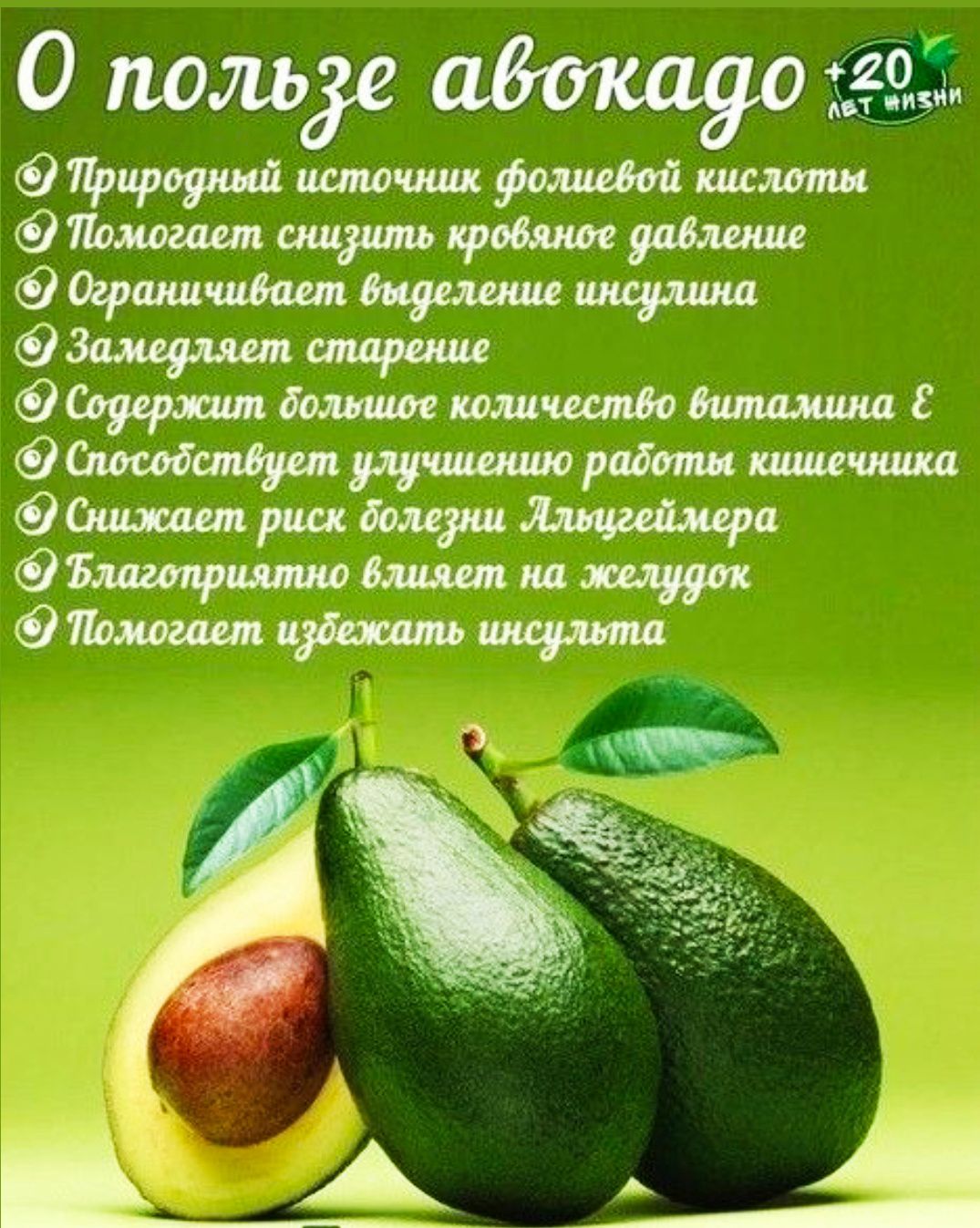 О пользе авокадо
- Природный источник фолиевой кислоты
- Помогает снизить кровяное давление
- Ограничивает выделение инсулина
- Замедляет старение
- Содержит большое количество витамина Е
- Способствует улучшению работы кишечника
- Снижает риск болезни Альцгеймера
- Благоприятно влияет на желудок
- Помогает избежать инсульта