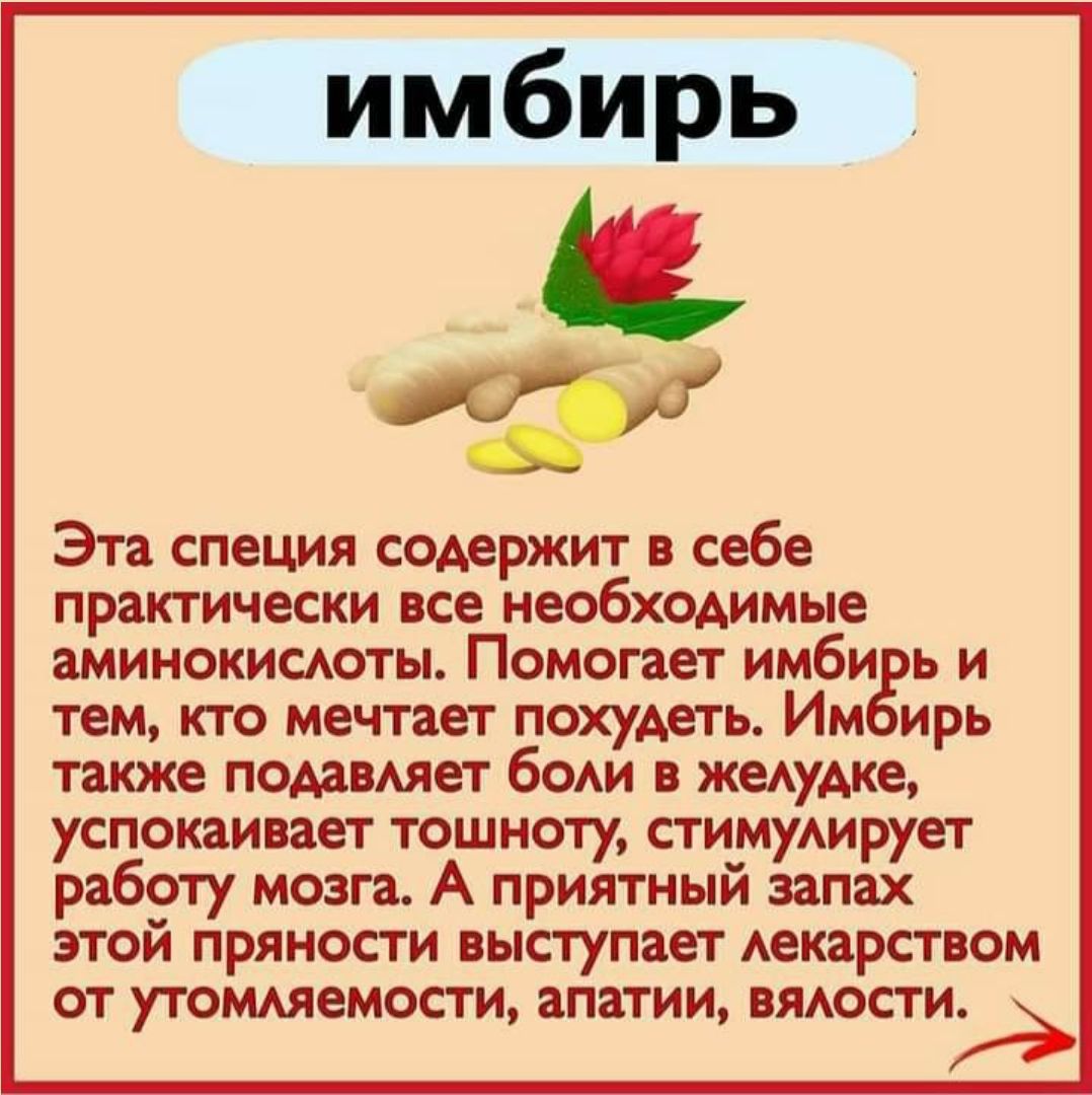 имбирь

Эта специя содержит в себе практически все необходимые аминокислоты. Помогает имбирь и тем, кто мечтает похудеть. Имбирь также подавляет боли в желудке, успокаивает тошноту, стимулирует работу мозга. А приятный запах этой пряности выступает лекарством от утомляемости, апатии, вялости.
