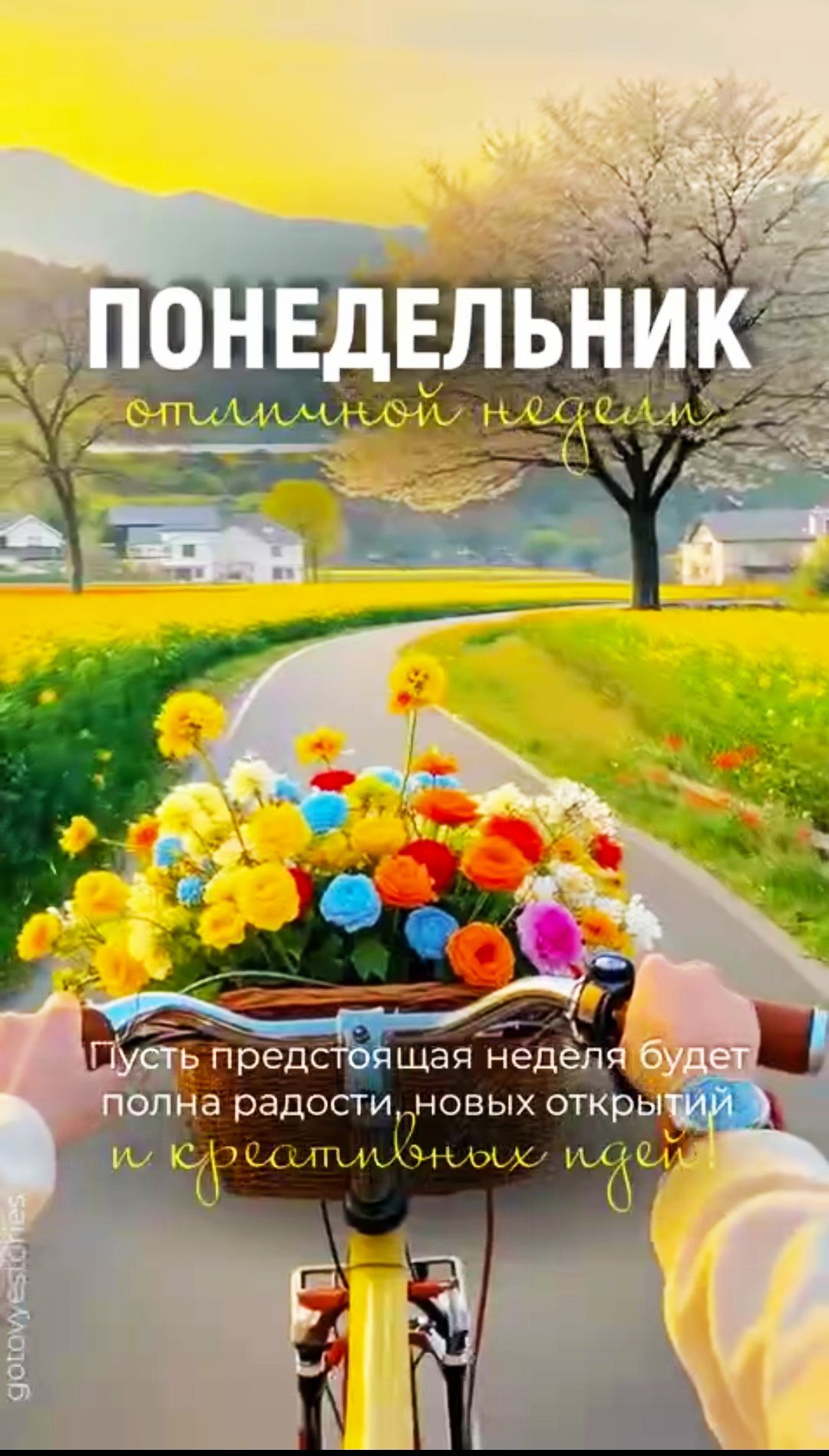 ПОНЕДЕЛЬНИК
оптимистичной неделей
Пусть предстоящая неделя будет полна радости новых открытий и креативных идей!