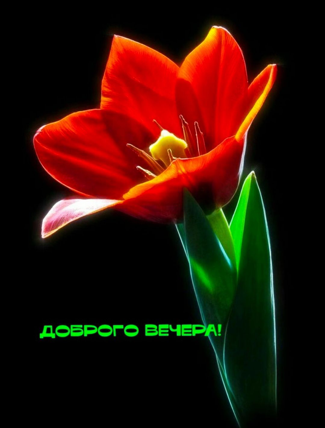 Доброго вечера!