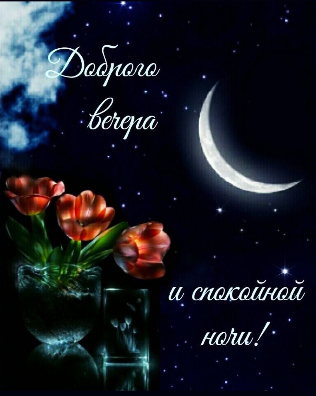 Доброго вечера и спокойной ночи!