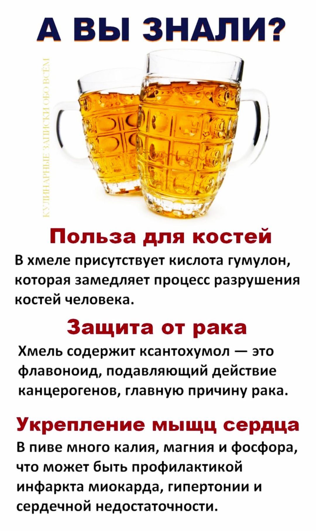 А ВЫ ЗНАЛИ?

Польза для костей
В хмеле присутствует кислота гумулон, которая замедляет процесс разрушения костей человека.

Защита от рака
Хмель содержит ксантогумол — это флавоноид, подавающий действие канцерогенов, главную причину рака.

Укрепление мышц сердца
В пиве много калия, магния и фосфора, что может быть профилактикой инфаркта, гипертонии и сердечной недостаточности.