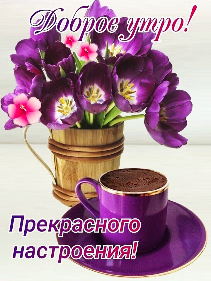Доброе утро! Прекрасного настроения!