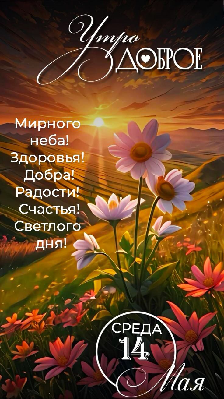Утро Доброе

Мирного неба! Здоровья! Добра! Радости! Счастья! Светлого дня!

СРЕДА 14 Мая