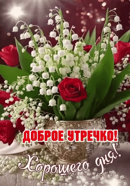 ДОБРОЕ УТРОЧКО! Хорошего дня!