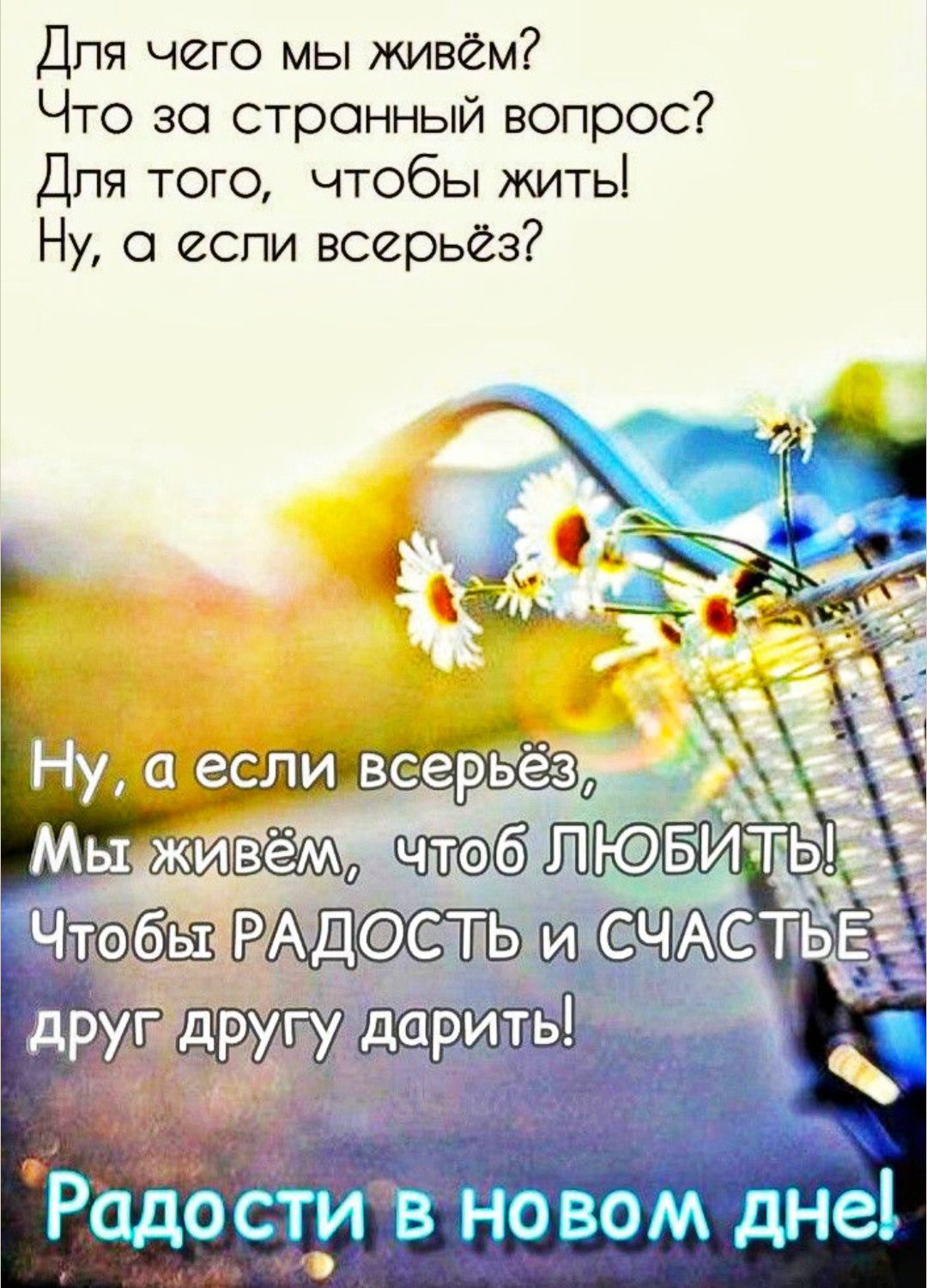 Для чего мы живём? Что за странный вопрос? Для того, чтобы жить! Ну, а если всерьёз? 

Ну, а если всерьёз, Мы живём, чтоб ЛЮБИТЬ! Чтобы РАДОСТЬ и СЧАСТЬЕ друг другу дарить!

Радости в новом дне!