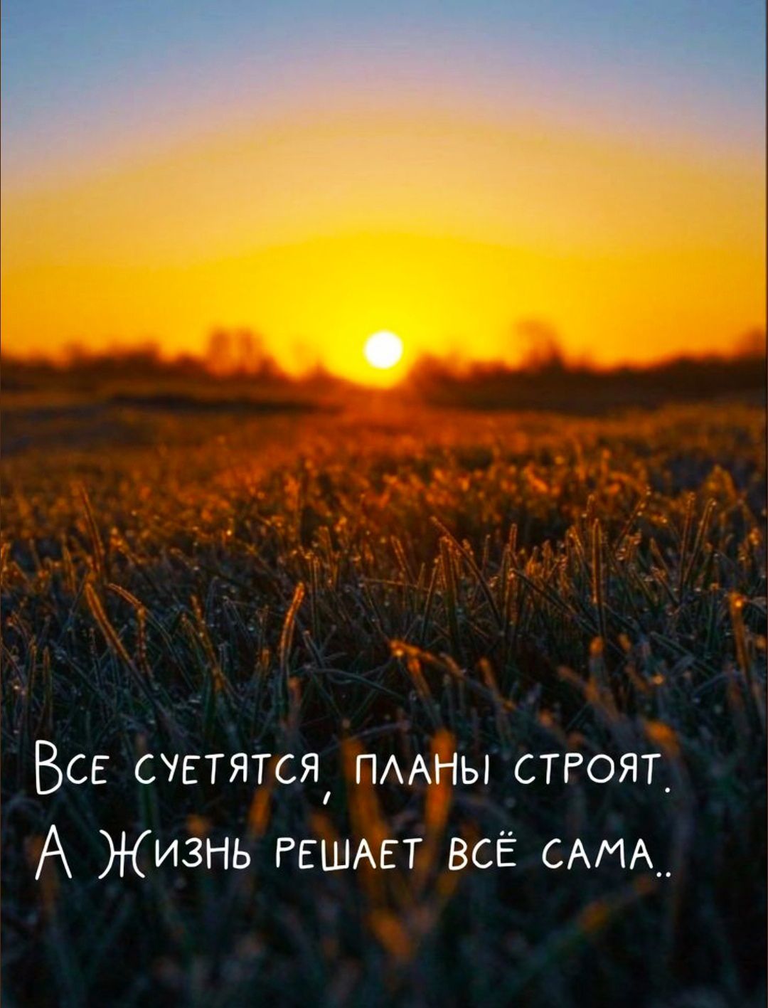Все суетятся, планы струт. А жизнь решает всё сама..