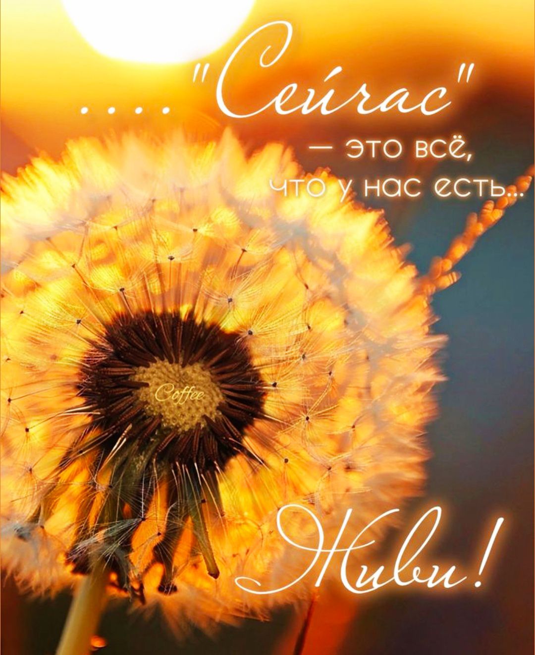 Сейчас — это всё, что у нас есть. Живи!