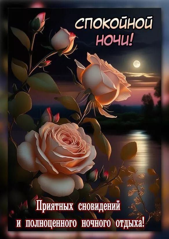 СПОКОЙНОЙ НОЧИ!
Приятных сновидений
и полноценного ночного отдыха!