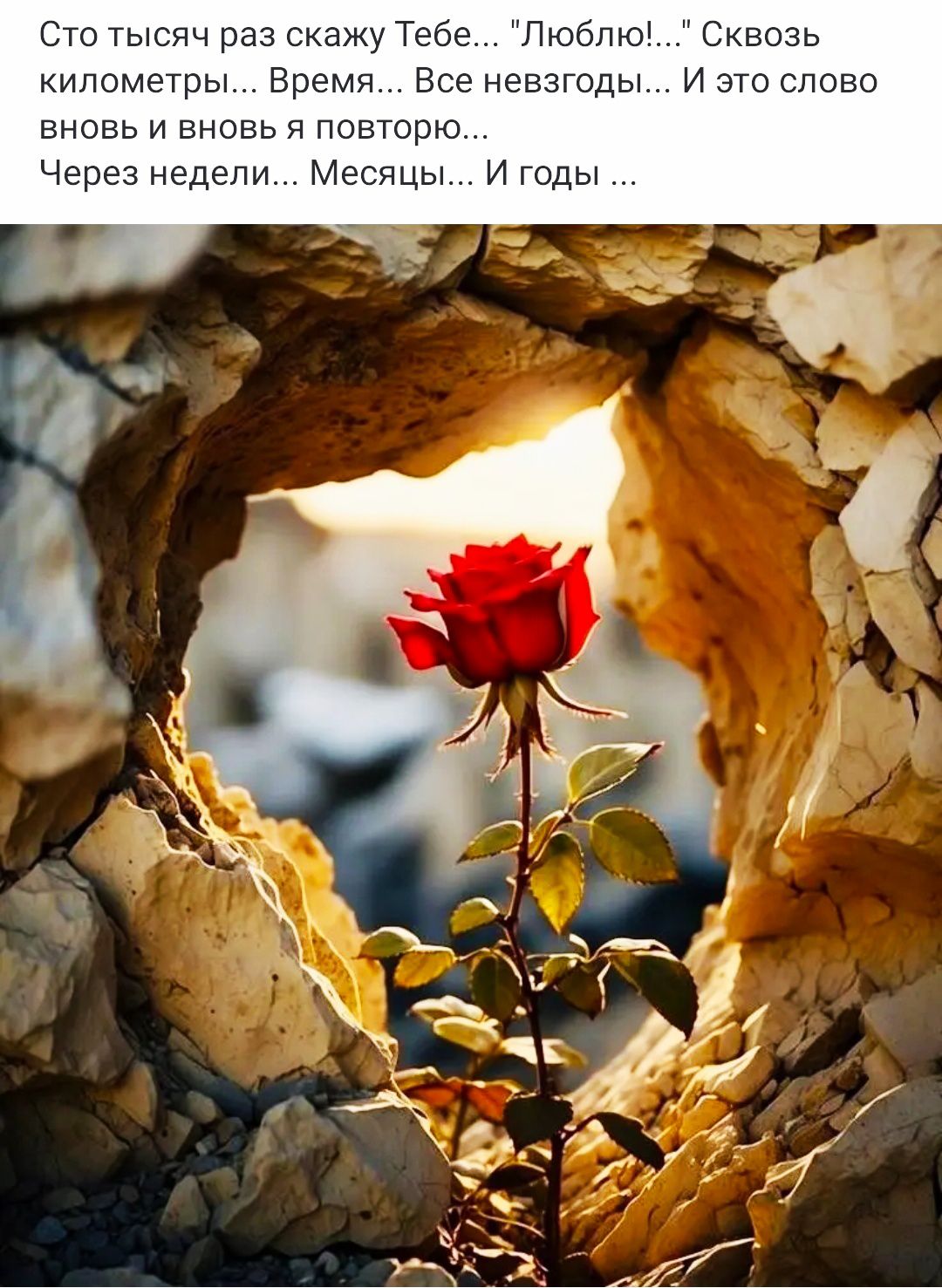 Сто тысяч раз скажу Тебе... 