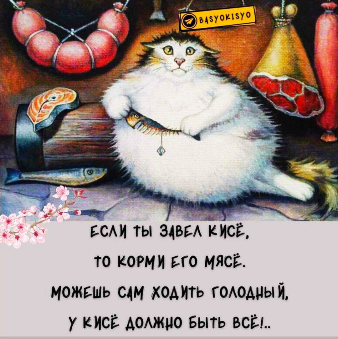 ЕСЛИ ТЫ ЗАВЁЛ КИСЕ, ТО КОРМИ ЕГО МЯСЁ. МОЖЕШЬ САМ ХОДИТЬ ГОЛОДНЫЙ, У КИСЁ ДОЛЖНО БЫТЬ ВСЁ!..