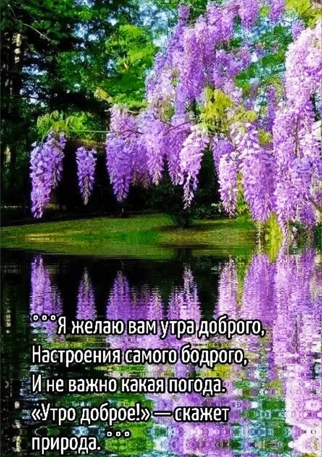 Я желаю вам утра доброго, Настроения самого бодрого, И не важно какая погода. «Утро доброе!» — скажет природа.