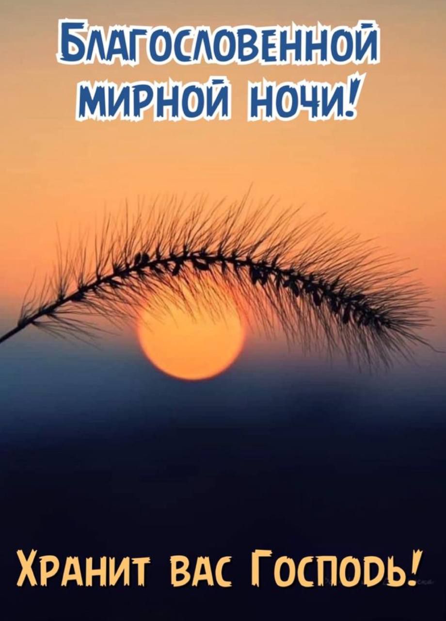 Благословенной мирной ночи! Хранит вас Господь!