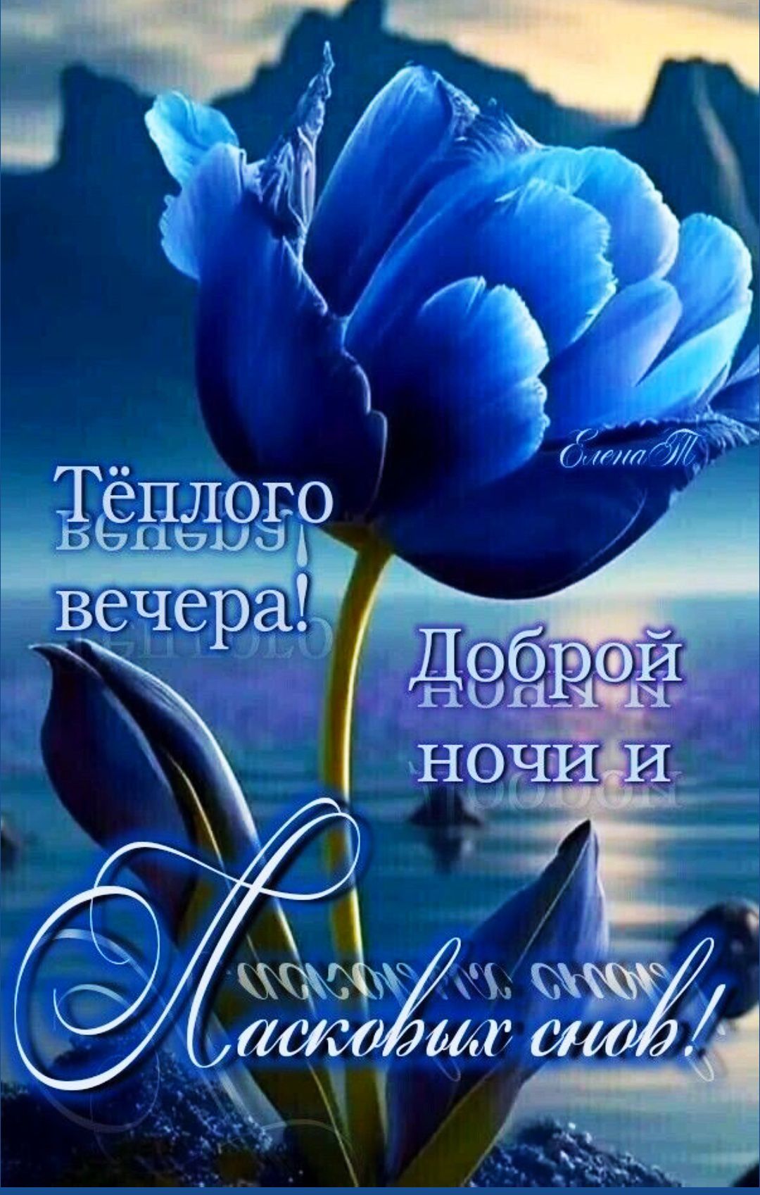 Тёплого вечера! Доброй ночи и Ласковых снов!