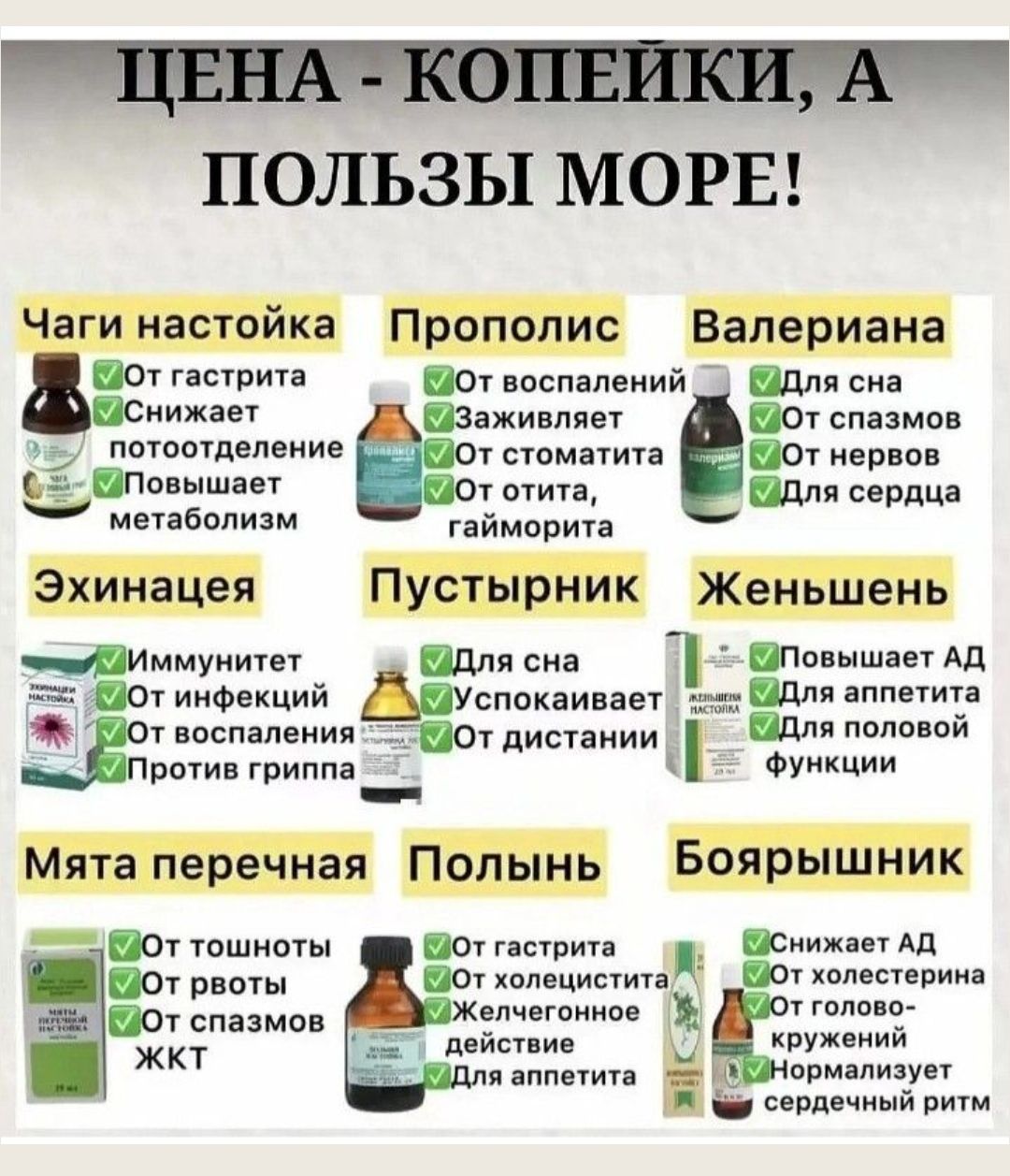 ЦЕНА - КОПЕЙКИ, А ПОЛЬЗЫ МОРЕ!

Чаги настойка
От гастрита
Снижает потоотделение
Повышает метаболизм

Прополис
От воспалений
Заживляет
От стоматита
От отита, гайморита

Валериана
Для сна
От спазмов
От нервов
Для сердца

Эхинацея
Иммунитет
От инфекций
От воспалений
Против гриппа

Пустырник
Для сна
Успокаивает
От дистанции

Женьшень
Повышает АД
Для аппетита
Улучшает половую функцию

Мята перечная
От тошноты
От рвоты
От симптомов ЖКТ

Половынь
От гастрита
От холестерина
Желчегонное действие
Для аппетита

Боярышник
Снижает АД
От холестерина
Для головной курежки
Нормализует сердечный ритм