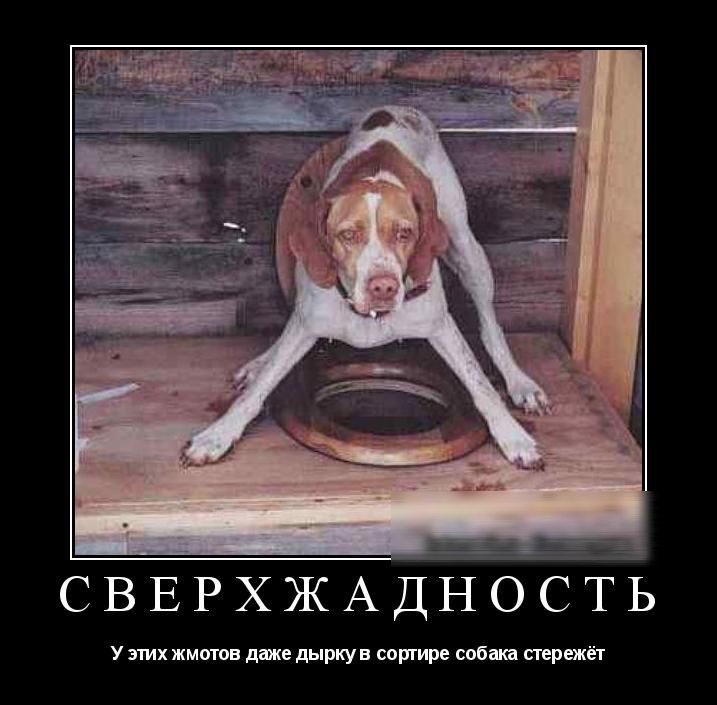 С В Е Р Х Ж А Д Н О С Т Ь
У этих жмотов даже дырку в сортире собака стережёт