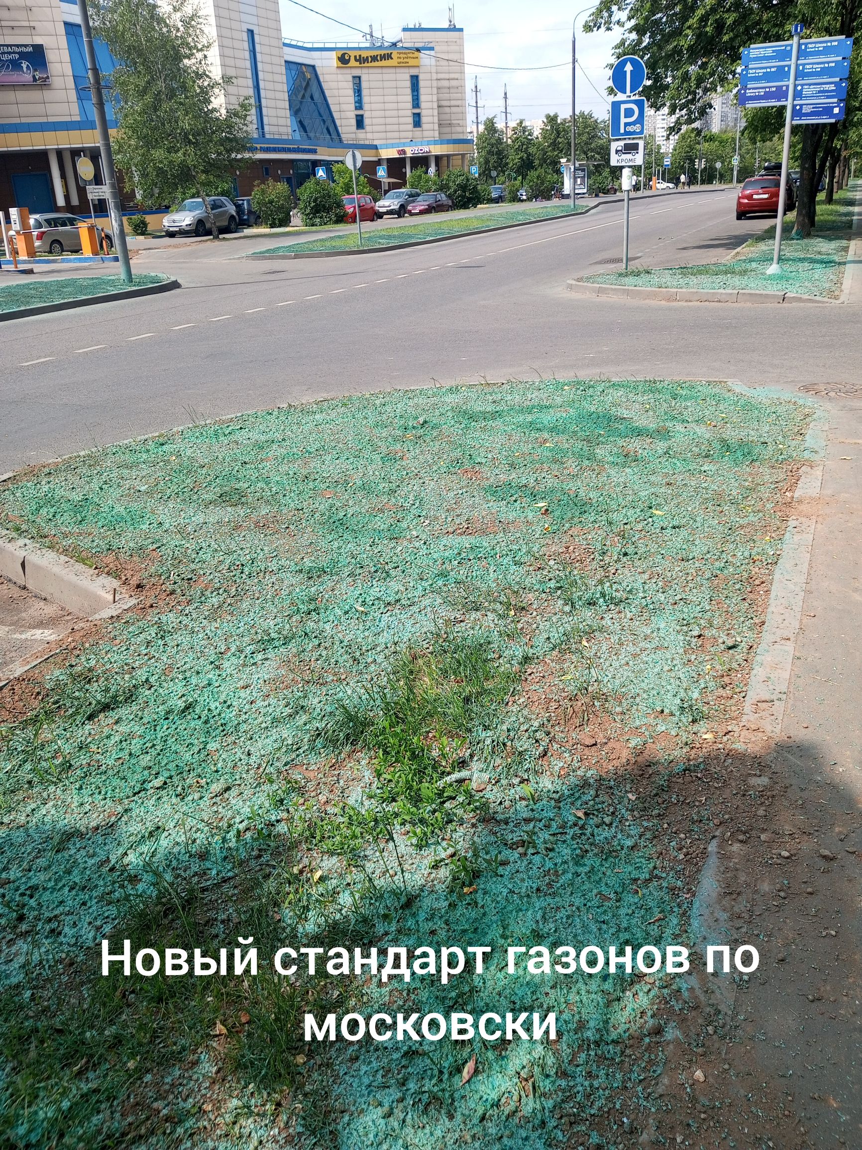 Новый стандарт газонов по московски