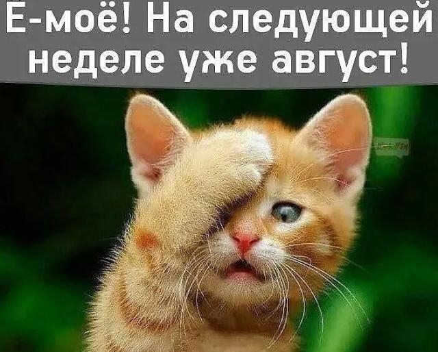Е моё На следующей неделе уже август