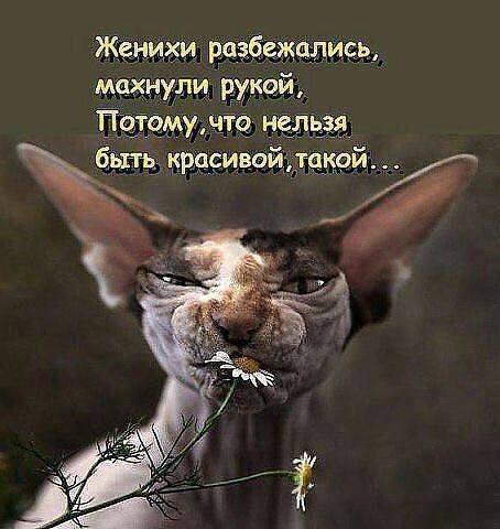 Женихирезбегжцпись мах уни рукой _мучто_ нельзя
