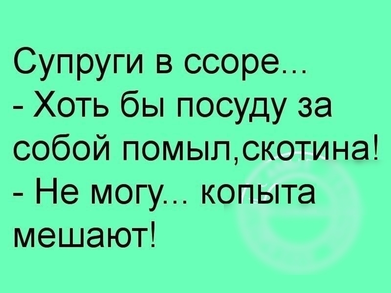 Супруги в ссоре Хоть бы посуду за собой помыпскотина Не могу копыта мешаюП
