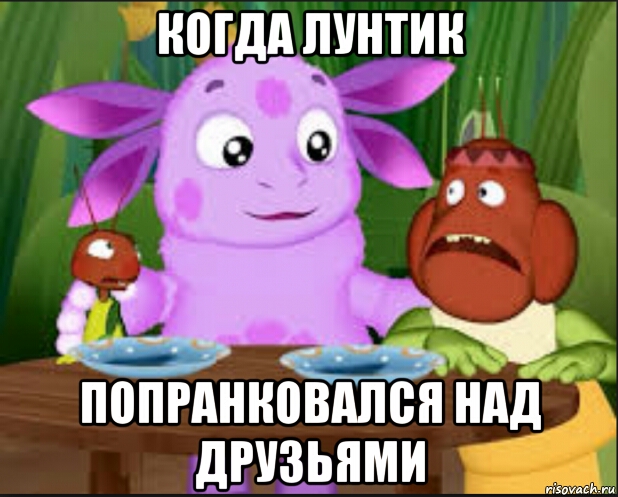 нопдд пунтин
