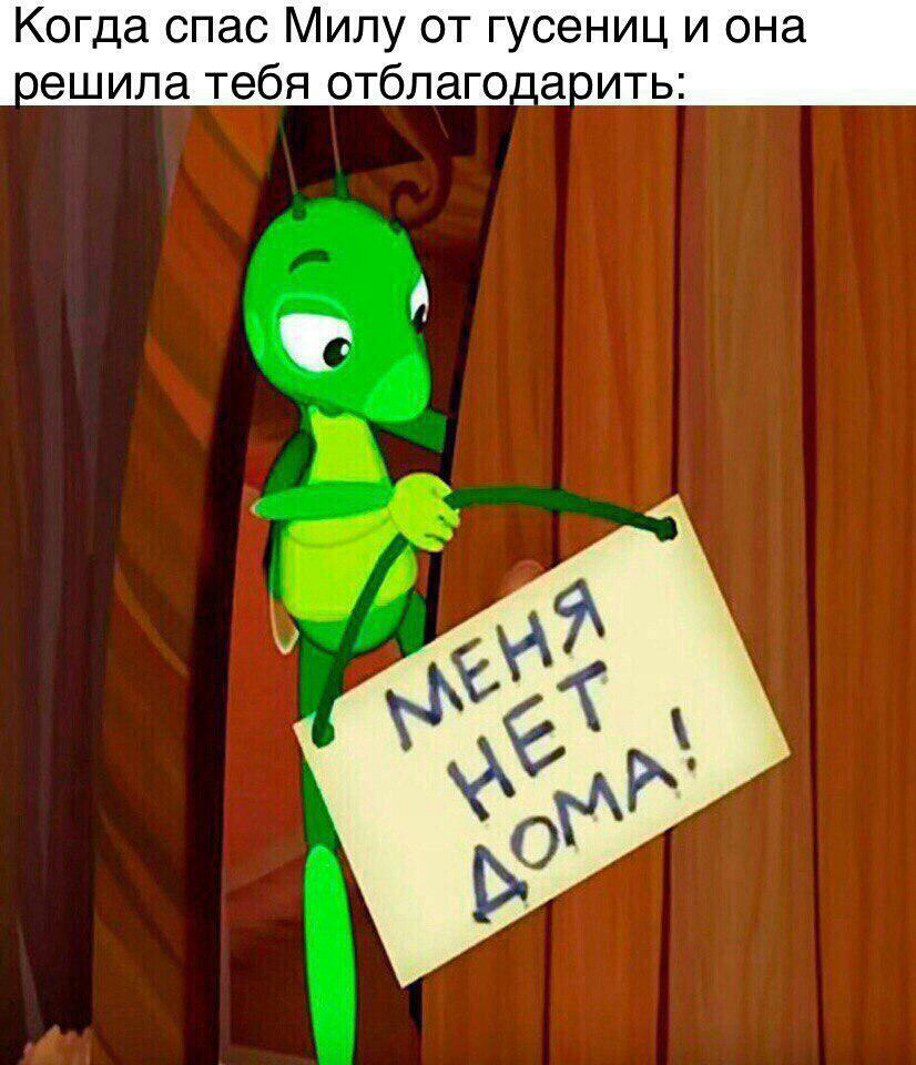 Когда спас Милу от гусениц и она оешила тебя отблаго_аоить