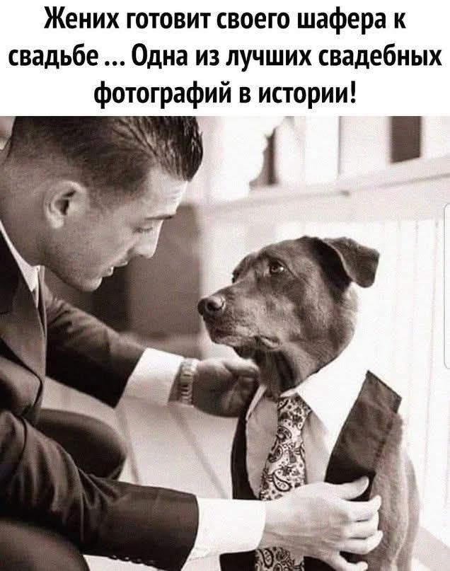 Жених готовит своего шафера к свадьбе ... Одна из лучших свадебных фотографий в истории!