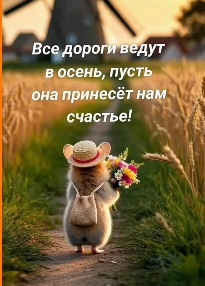 Все дороги ведут в осень, пусть она принесёт нам счастье!