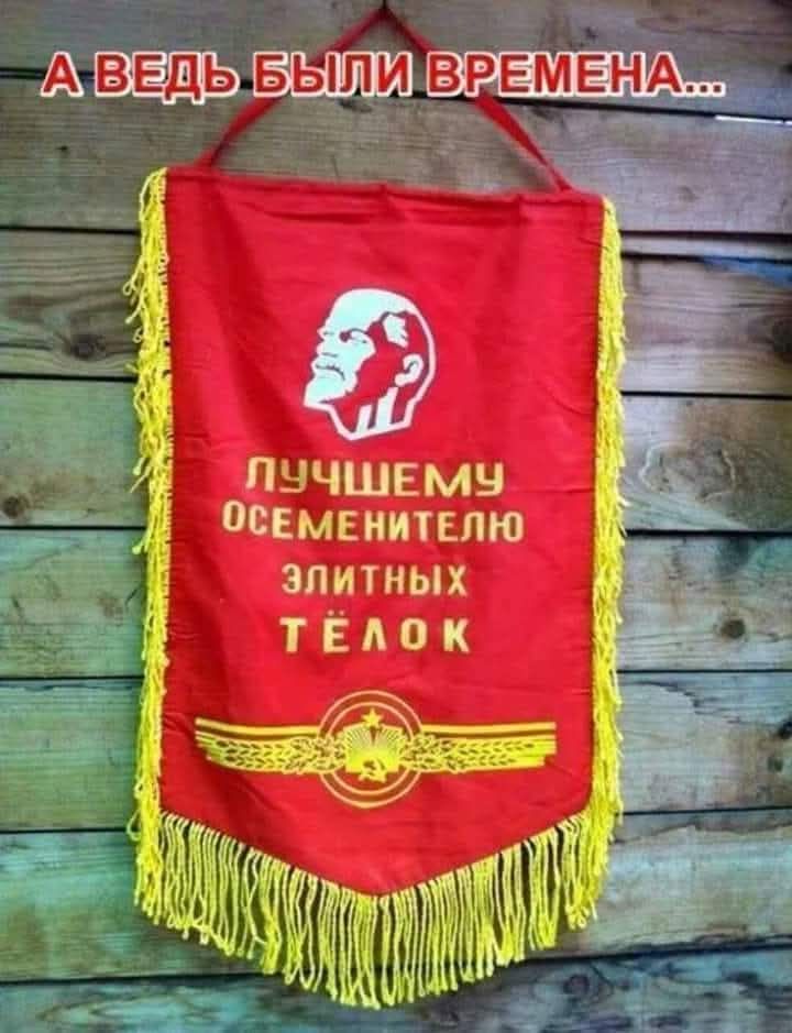 А ВЕДЬ БЫЛИ ВРЕМЕНА...
ЛУЧШЕМУ ОСЕМЕНИТЕЛЮ ЭЛИТНЫХ ТЕЛОК