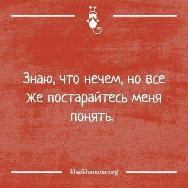 Знаю, что нечем, но все же постарайтесь меня понять.