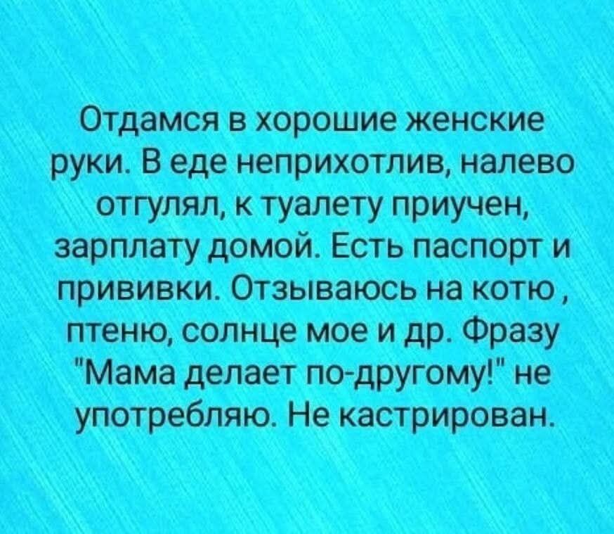 Отдамся в хорошие женские руки. В еде неприхотлив, налево отгуллял, к туалету приучен, зарплату домой. Есть паспорт и прививки. Отзываюсь на котю, птеню, солнце мое и др. Фразу 