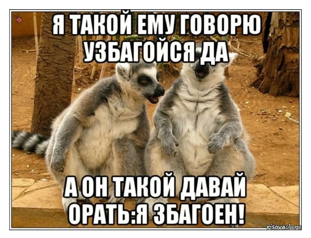 Я такой ему говорю узбагойся да, а он такой давай орать я збагоен!